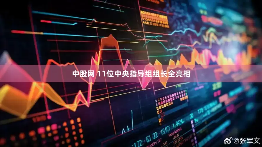 中股网 11位中央指导组组长全亮相