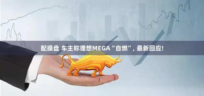 配操盘 车主称理想MEGA“自燃”, 最新回应!