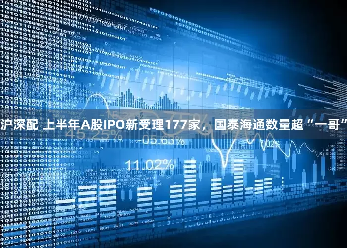 沪深配 上半年A股IPO新受理177家，国泰海通数量超“一哥”