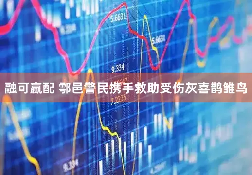 融可赢配 鄠邑警民携手救助受伤灰喜鹊雏鸟