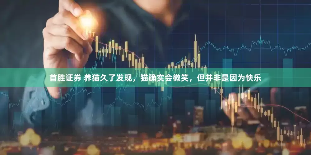 首胜证券 养猫久了发现，猫确实会微笑，但并非是因为快乐
