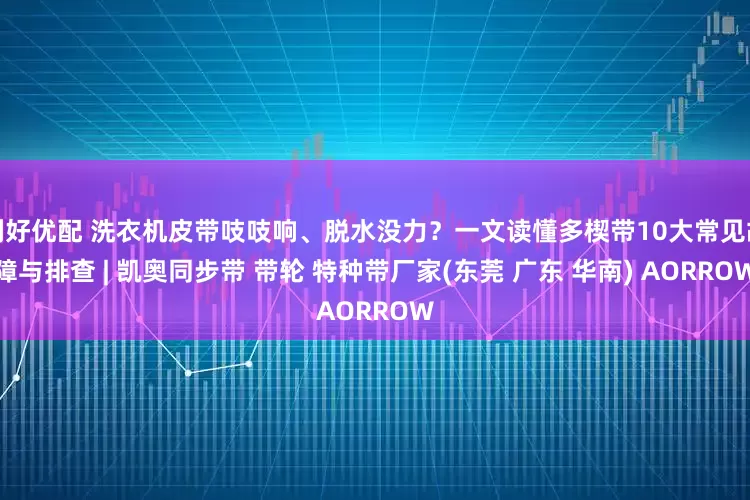 利好优配 洗衣机皮带吱吱响、脱水没力？一文读懂多楔带10大常见故障与排查 | 凯奥同步带 带轮 特种带厂家(东莞 广东 华南) AORROW